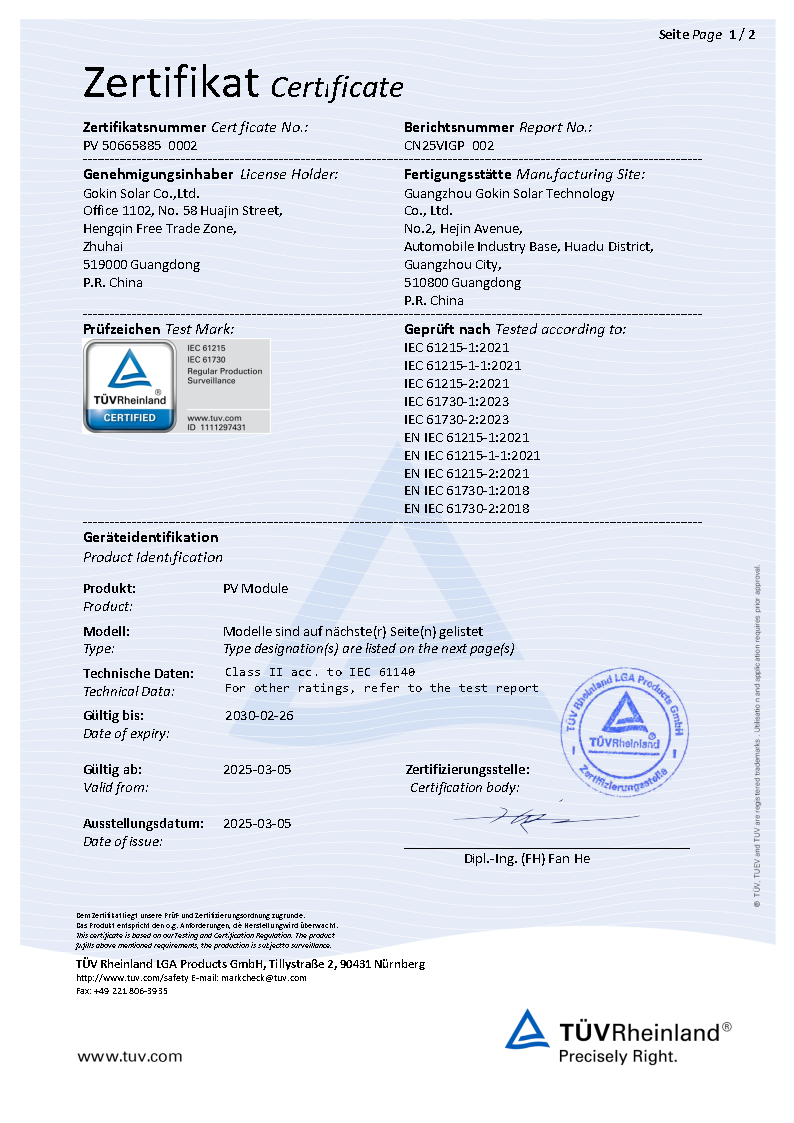 IEC61215&IEC61730 TüV Certified BC Dual Glass